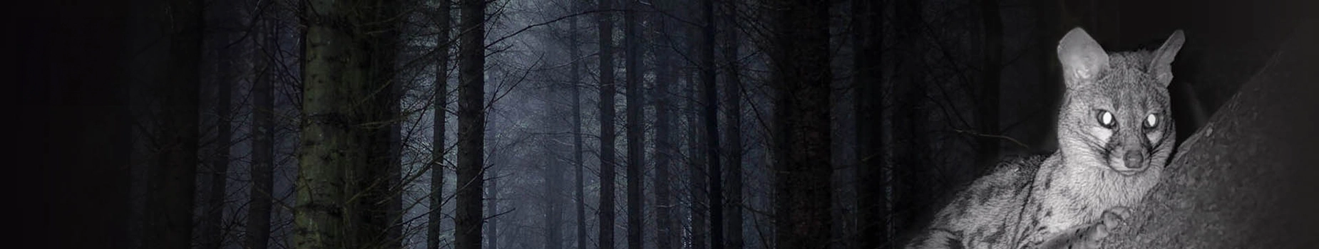 暗視スコープ ナイトビジョン