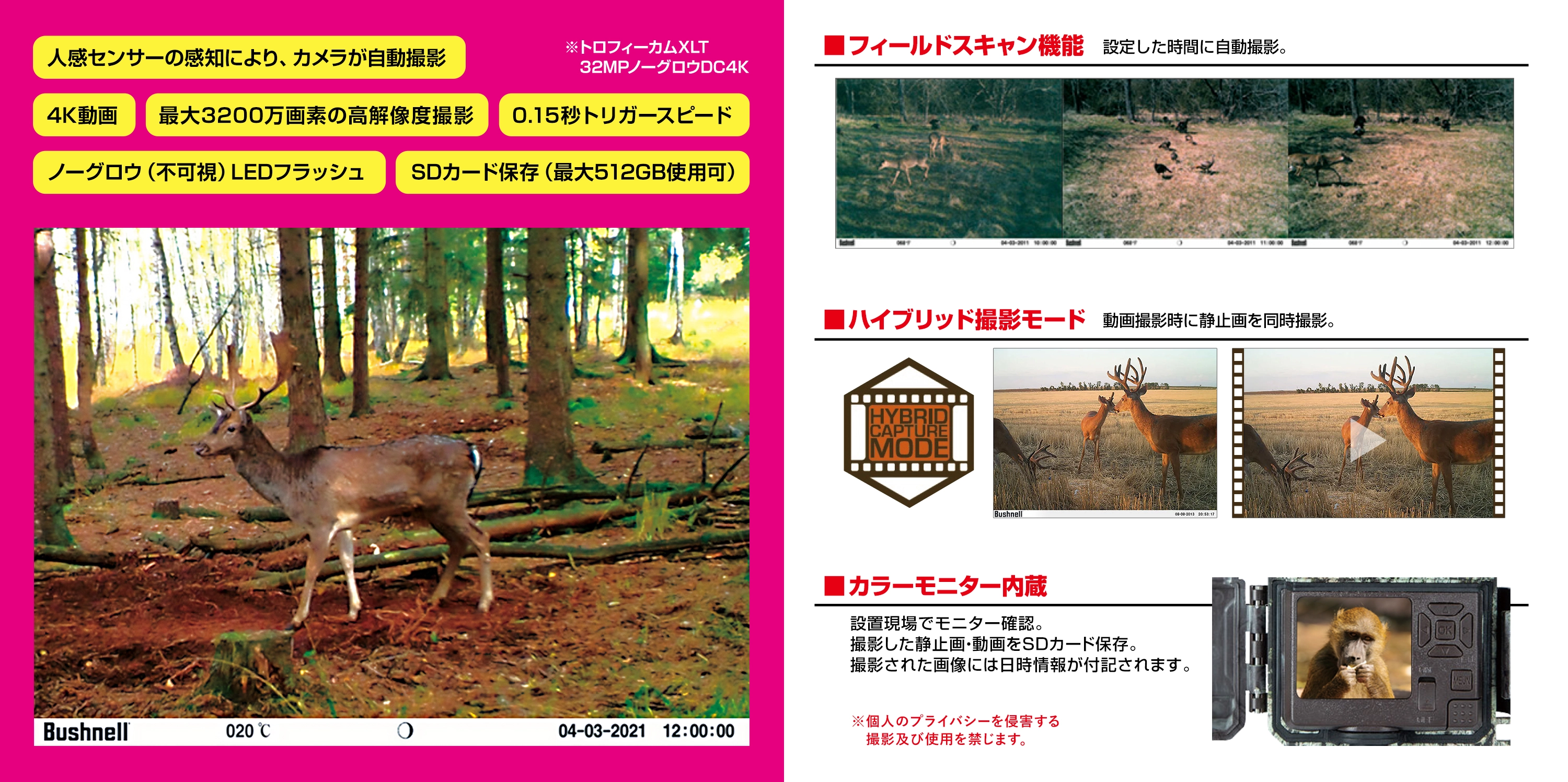 フィールドスキャン機能・ハイブリッド撮影モード・カラーモニター内蔵