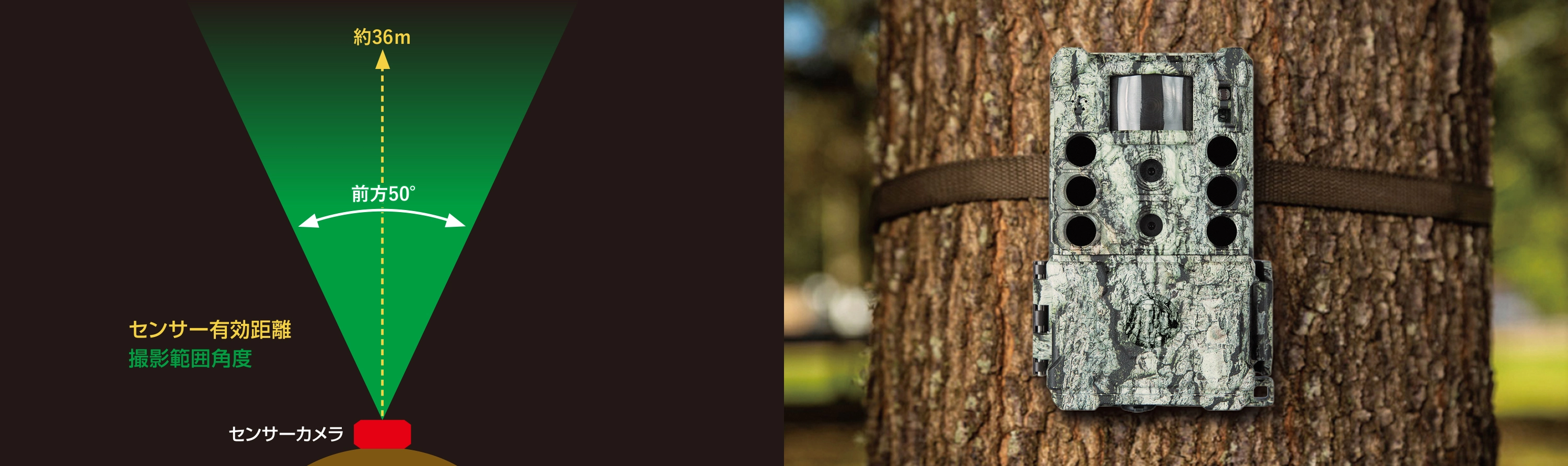 トロフィーカムの有効距離・設置位置