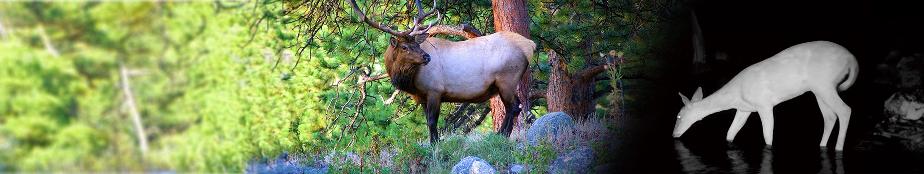監視カメラ トロフィーカム