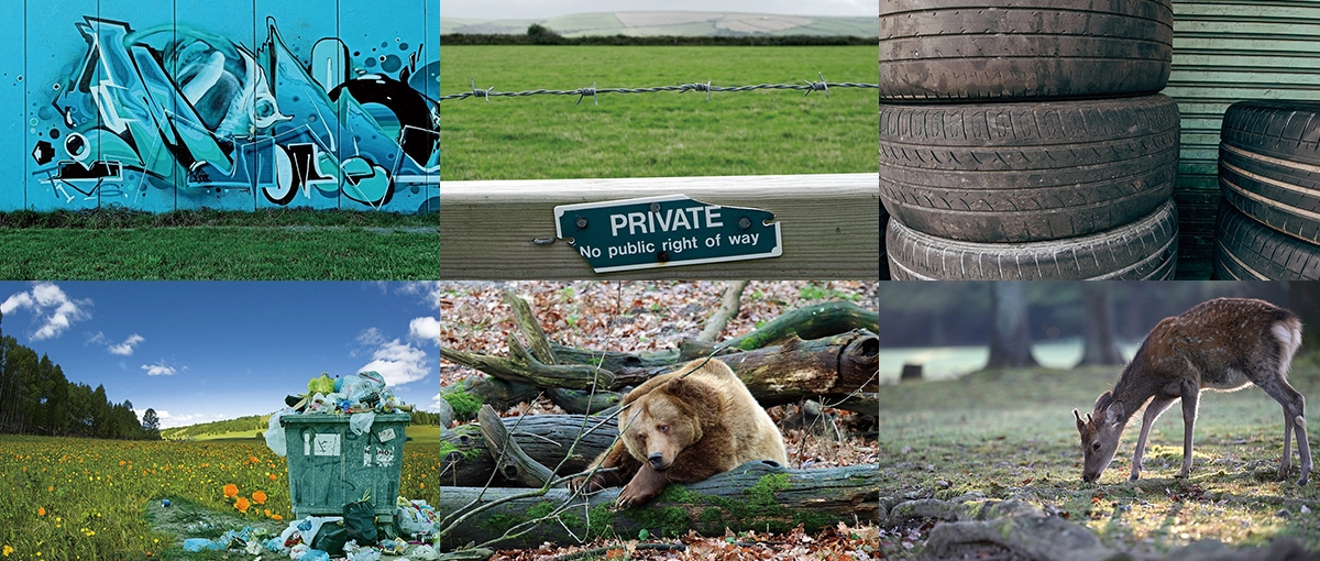 トロフィーカムの用途